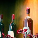 The Truth About Sauvignon: Main Facts About Cabernet Sauvignon Wine