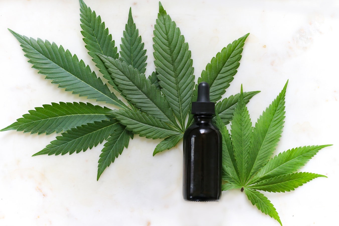 Fact or Fiction: 7 Known Ideas about CBD Debunked or Confirmed
